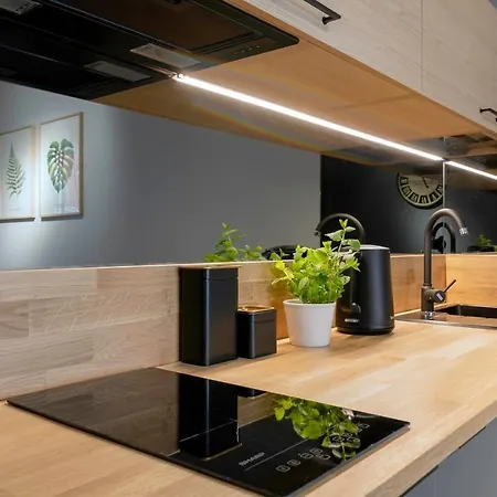 Apartment Artus Stary Browar