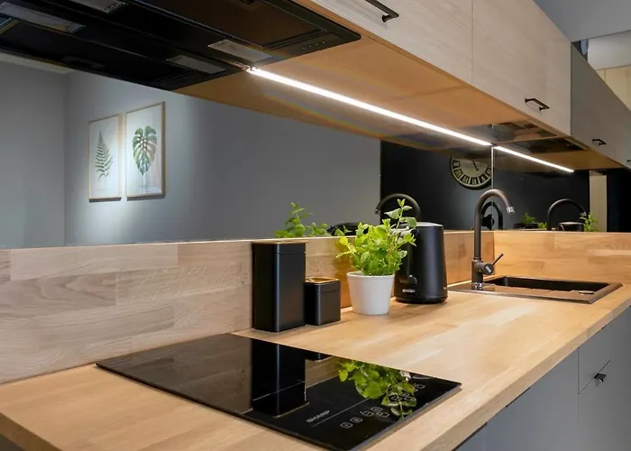 Daire Artus Stary Browar