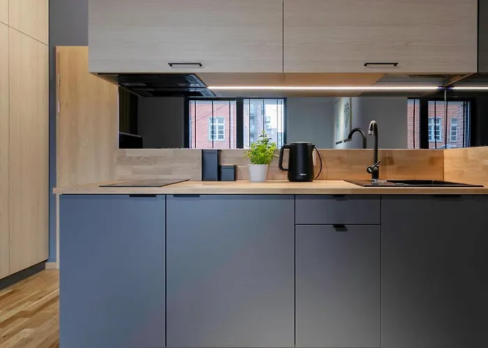 Artus Stary Browar Daire